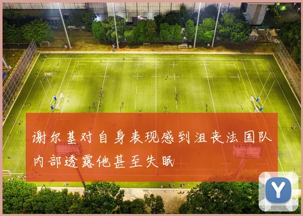 谢尔基对自身表现感到沮丧法国队内部透露他甚至失眠