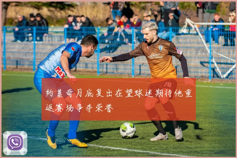 约基奇月底复出在望球迷期待他重返赛场争夺荣誉